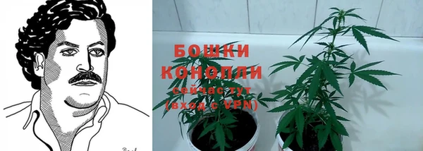 шишки Нефтегорск