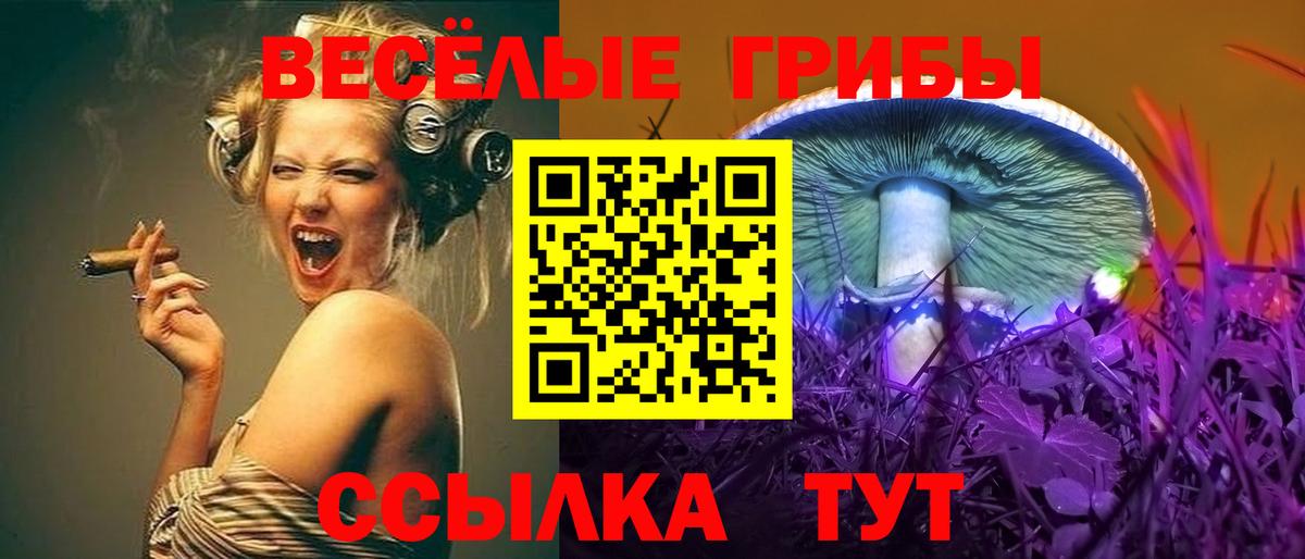 Галлюциногенные грибы GOLDEN TEACHER  Галлюциногенные грибы MAGIC MUSHROOMS  Кулебаки  Вход с VPN 